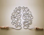 Riabilitazione delle cerebrolesioni acquisite in età evolutiva