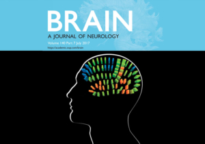 Brain Journal magazine