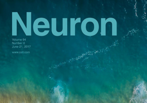 Neuron Journal