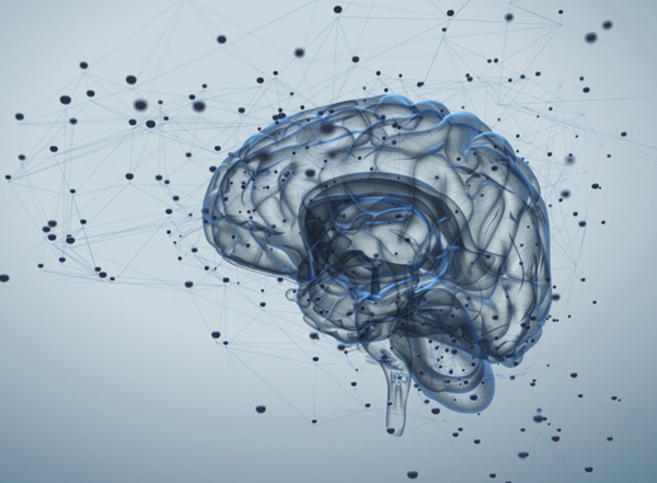 La Riabilitazione Neuropsicologica dopo grave lesione cerebrale – Cagliari 13-14 ottobre 2017